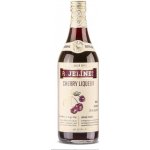 R. Jelínek Cherry Liquer 24% 0,7 l (holá láhev) – Zboží Dáma