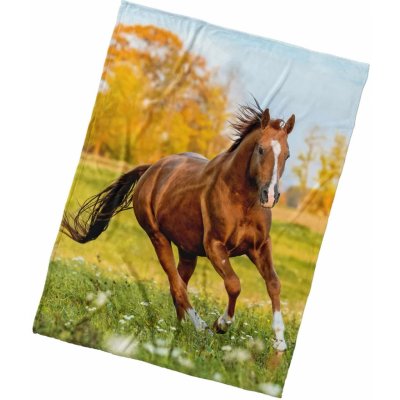 Carbotex Dětská deka z mikrovlákna KŮŇ RYZÁK NA LOUCE hnědá – Hledejceny.cz