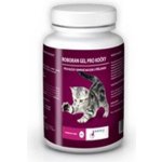 Univit ROBORAN chondro gel pro kočky 60 g – Hledejceny.cz