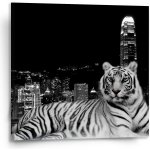 Sablio Obraz Městský tygr - 110x110 cm – Hledejceny.cz