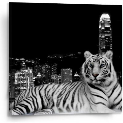 Sablio Obraz Městský tygr - 110x110 cm – Hledejceny.cz