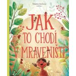 Jak to chodí v mraveništi – Hledejceny.cz