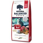 Velxara Balanced FM Dog Adult Monoprotein Beef & Rice 12 kg – Sleviste.cz