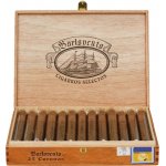 Barlovento Corona 25 ks – Hledejceny.cz