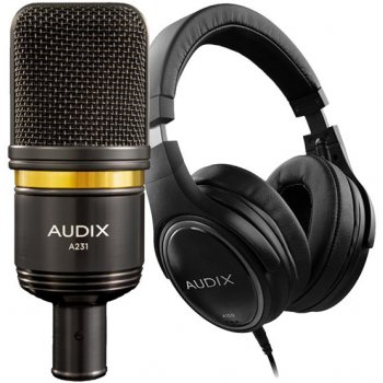 Audix A231