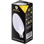 Nedes ZLS712 LED E14, 5W, teplá bílá – Hledejceny.cz