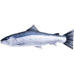 Gaby Polštář Pstruh Mořský 110cm – Sleviste.cz