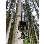 OXE HORNET 4G – Zboží Živě