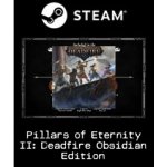 Pillars of Eternity 2: Deadfire (Obsidian Edition) – Zboží Dáma