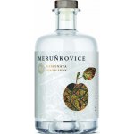 Raspenava Meruňkovice 42% 0,5 l (holá láhev) – Sleviste.cz