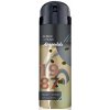 Tělový sprej Aéropostale Avant Garde Series Amber + Musk men tělový sprej 147 ml