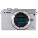 Canon EOS M100