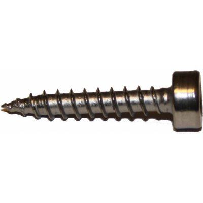 Vruty pro kluzáky 4,2x22mm T20 kalený nerez – Hledejceny.cz
