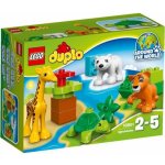 LEGO® DUPLO® 10801 Mláďátka – Hledejceny.cz