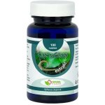 Natural Pharm Cat's Claw Mačací dráp 100 tablet – Hledejceny.cz