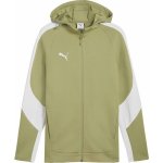 Puma Teamevostripe Hooded Jacket khaki – Hledejceny.cz