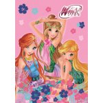 Omalovánky A4 Winx Club 6137 – Zboží Mobilmania