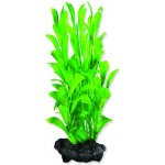 Tetra Hygrophila S 15 cm – Zboží Dáma