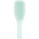 Tangle Teezer The Ultimate Detangler plochý Kartáč pro křehké vlasy Ice Blue 1 ks – Zboží Mobilmania
