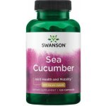 Swanson Sumýši Sea Cucumber 500 mg 100 kapslí – Hledejceny.cz