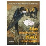 Atlas hnízdního rozšíření ptáků v České republice + Ptačí oblasti České republiky Karel Šťastný, Vladimír Bejček, Karel Hudec – Hledejceny.cz