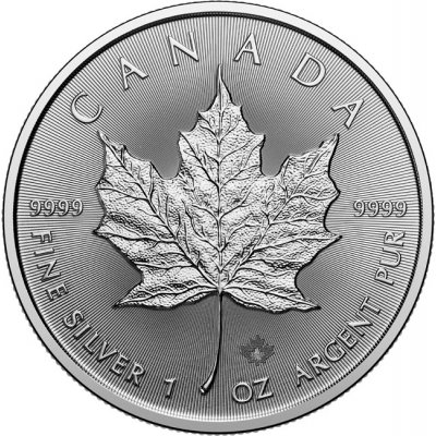 Royal Canadian Mint stříbrná mince Maple Leaf 2025 1 oz – Zboží Dáma