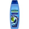 Šampon Palmolive Anti dandruff Menta šampon 350 ml