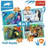 TREFL Animal Planet: Záhadný svět zvířat 4v1 35,48,54,70 dílků – Hledejceny.cz