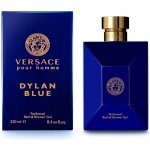 Versace Pour Homme Dylan Blue sprchový gel 250 ml – Hledejceny.cz