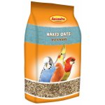 Avicentra oves nahý 1 kg – Zboží Dáma