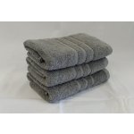 Rooktex Froté ručník Komfort - světle šedá 50 x 100 cm – Hledejceny.cz