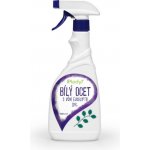 Ecorai Ocet bílý 10 % na úklid s vůní eukalyptu - rozprašovač 500 ml – Hledejceny.cz