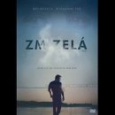 Zmizelá DVD