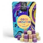 NATU Coco smoothie mix 21 g – Zboží Dáma