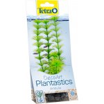 Tetra rostlina Ambulia 30 cm – Zboží Mobilmania