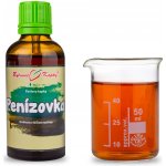 Bylinné kapky Penízovka tinktura 50 ml – Hledejceny.cz