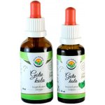 Salvia Paradise Gotu kola tinktura 30 ml – Hledejceny.cz