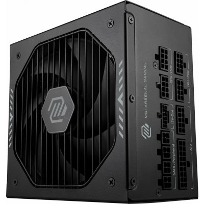 MSI MAG A750GLS PCIE5 750W 306-7ZPHX11-HD8 – Zboží Živě