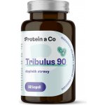 Protein&Co. Tribulus 90 60 tablet – Zboží Dáma