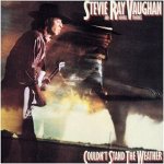 Vaughan Stevie Ray - Couldn't Stand The Weather LP – Hledejceny.cz