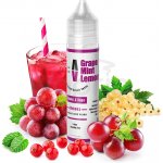 Adams vape Grape Mint Lemonade Shake & Vape 10 ml – Zboží Mobilmania