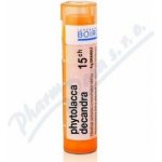 PHYTOLACCA DECANDRA POR 15CH GRA 4G – Hledejceny.cz