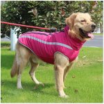 Surtep Animals Zimní bunda voděodolná Paw – Sleviste.cz
