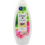 Dove Nourishing Secrets Summer Aloe vera & růžový vodní meloun uklidňující sprchový gel 250 ml – Hledejceny.cz