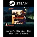 Kung Fu Strike: The Warriors Rise