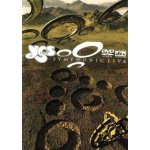 Yes - Symphonic Live DVD – Hledejceny.cz