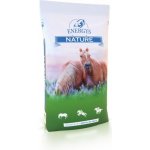 Energys Nature Mineral 10 kg – Zboží Mobilmania