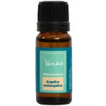 Venoc Esenciální olej Angelika 10 ml – Hledejceny.cz