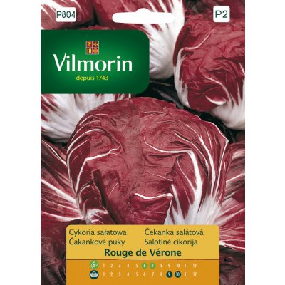 Čekanka salátová Rouge de Vérone Vilmorin Premium 0,5 g