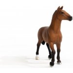 Schleich Oldenburská klisna 13945 – Zbozi.Blesk.cz
